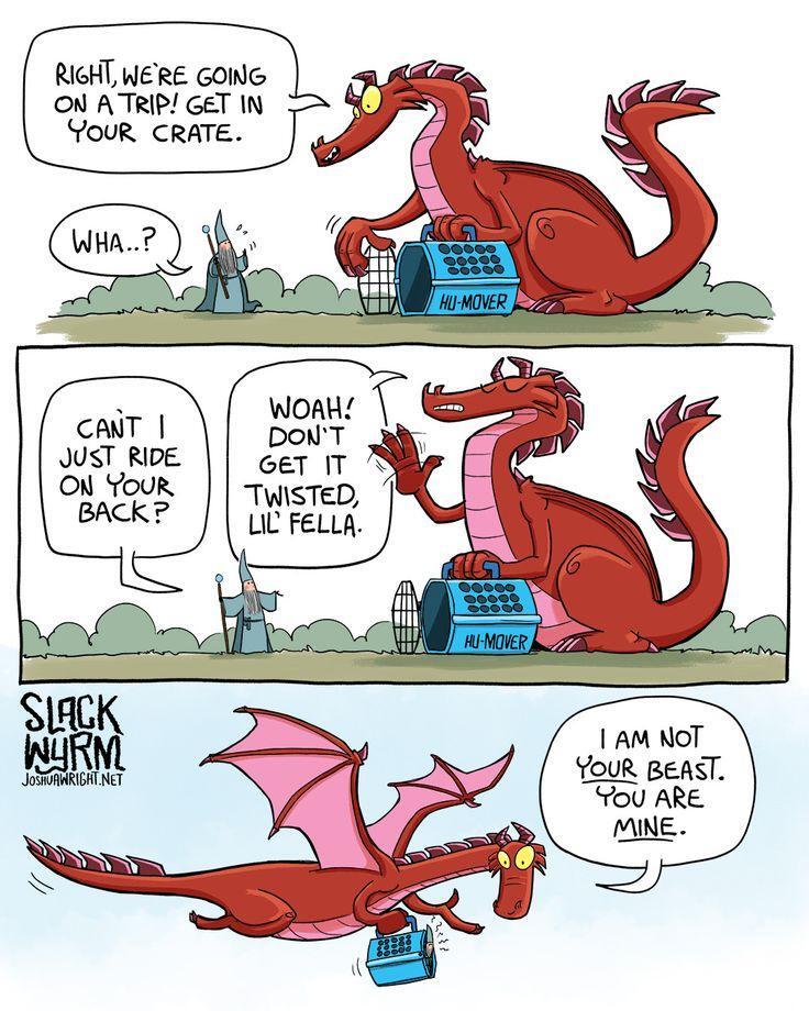 The dragon is holding a large pet crate in the first panel.
Dragon: "Right, we're going in a trip! Get in your crate."
Human: "What...?"

The human is arguing in the second panel and the dragon is holding up his hand denying the human.
Human: "Can't I just ride on your back?"
Dragon: "Woah! Don't get it twisted lil' fella."

The dragon is flying carrying the crate with the human inside, the human is uncomfortable.
Dragon: "I am not YOUR beast. You are MINE." 