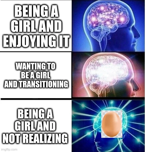 Galaxy brain  1. Being a girl and enjoying it 2. Wanting to be a girl and transitioning 3. (Galaxy egg brain) Being a girl and not realizing