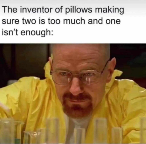 the inventor of pillows making sure one isn't enough and two is to much. Walter white from breaking bad sciences